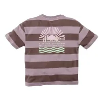 Iwan_Crazy_coconut__Stripes_1