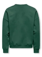 KOGBILA_L_S_OVZ_PRINT_O_NECK_SWT_NOOS_5