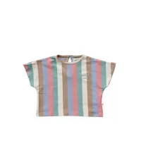 Multi_Stripes___Cropped_Tee