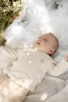 Shirt_Marlon_Cotton_Cream_2