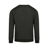 Sweater_with_crewneck_2