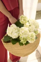 Top_Nella_6